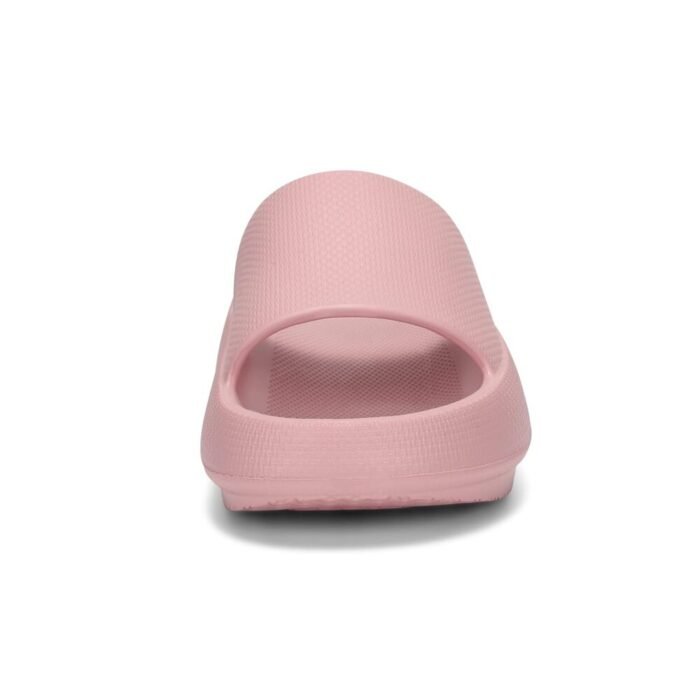 Pink Cloud Slides